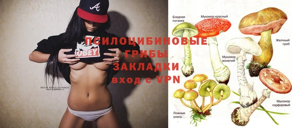 MESCALINE Карпинск