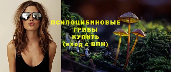 дурь Карталы