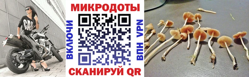 Купить где  Дорогобуж  Галлюциногенные грибы Magic Shrooms 